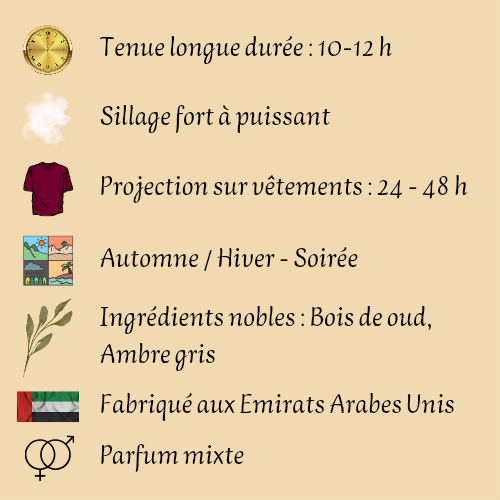 Nuit Nomade extrait de parfum mixte 100ml — inspiré Ombre Nomade | Senteur Nomade