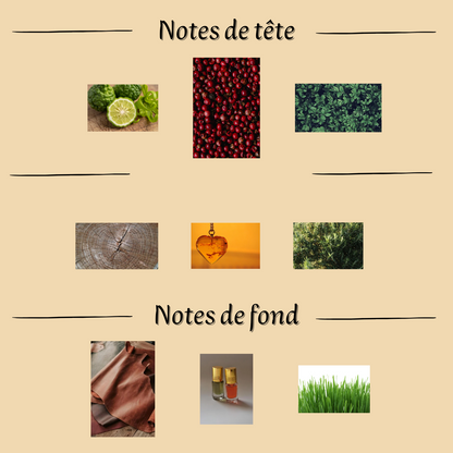 Imperial Valley 35 ml - Eau de parfum - Mixte