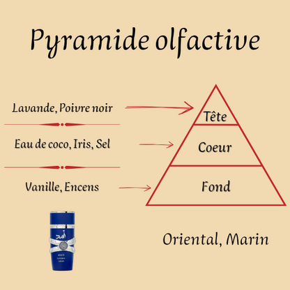 Asad Zanzibar 100 ml - Eau de parfum - Homme