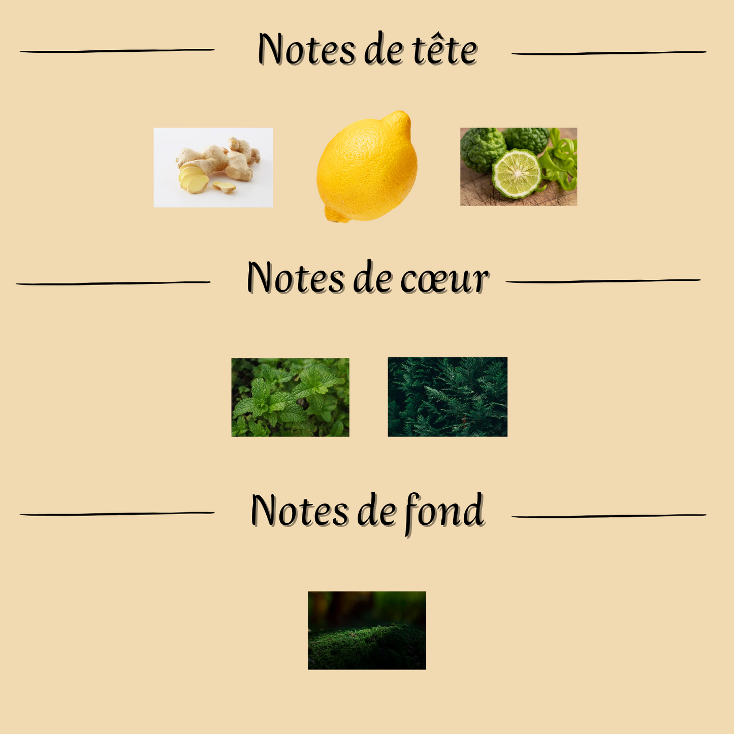 Mawj Moscow Mule 100 ml - Eau de parfum - Mixte