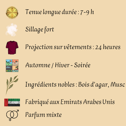 Opulent Oud 100 ml - Eau de parfum - Mixte