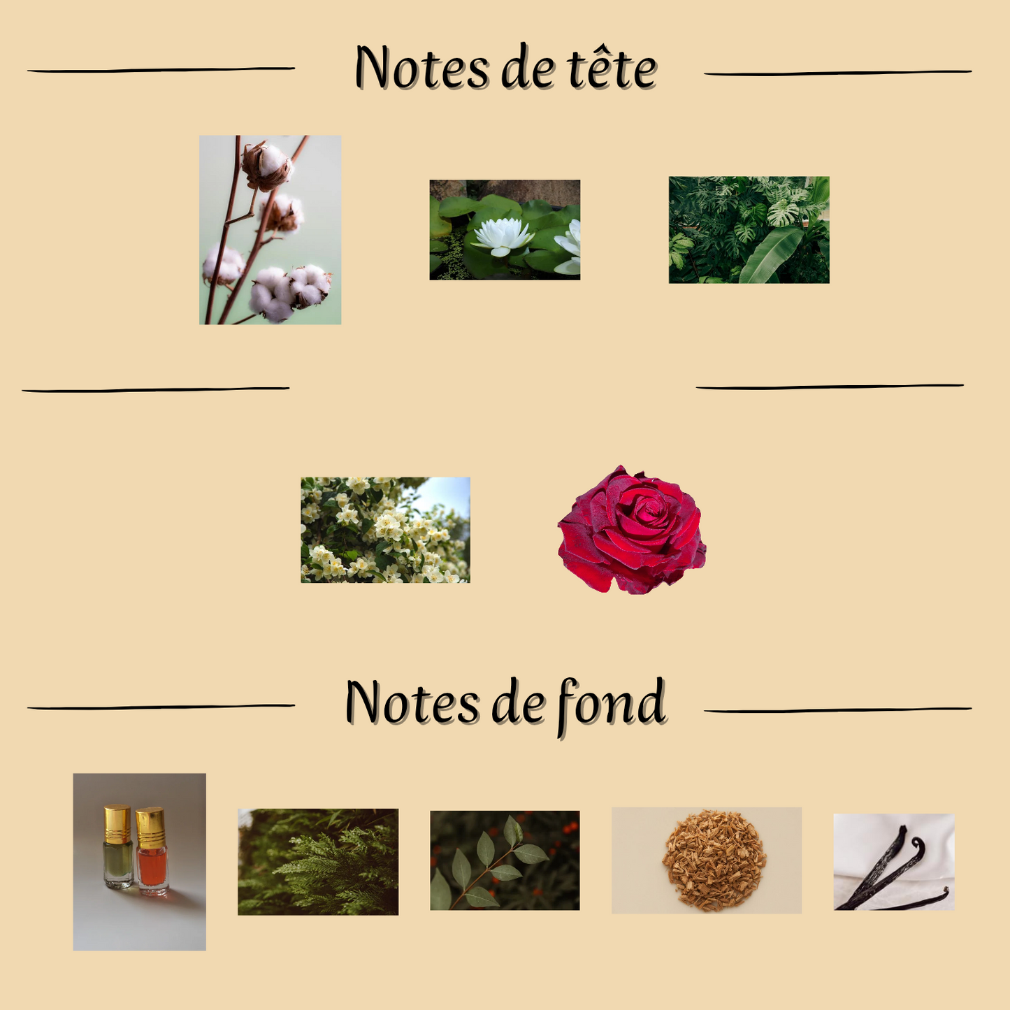 Coffret Musc Tahara 65 ml - Eau de parfum - Femme