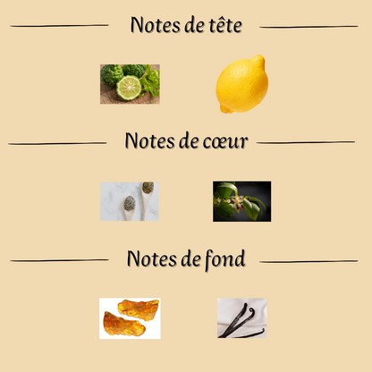 Spray d'intérieur Aïsha Collection Intense 250 ml inspiré "Magic" - Mixte