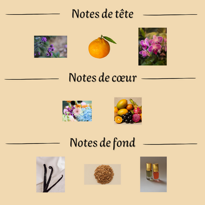 Yara 10 ml - Roll-on Parfum sans alcool - Femme