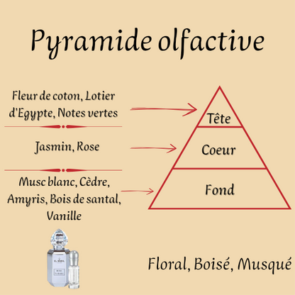 Coffret Musc Tahara 65 ml - Eau de parfum - Femme